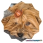 Preview: 1x Hunde Cowboy Hut Pink  auf  Schleifenspange 45mm Haarspange Hundehaarspange