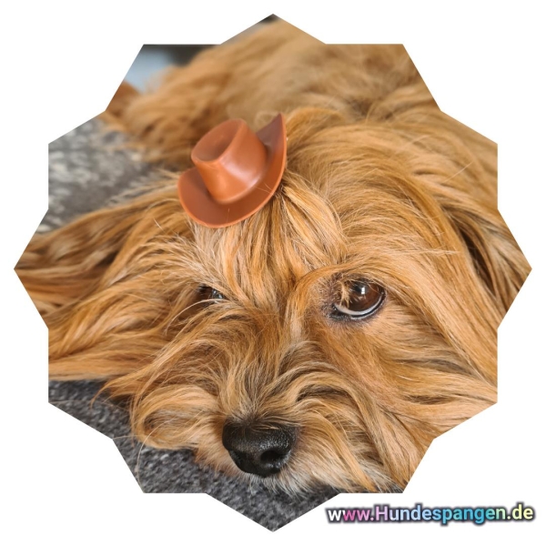1x Hunde Cowboy Hut Pink  auf  Schleifenspange 45mm Haarspange Hundehaarspange